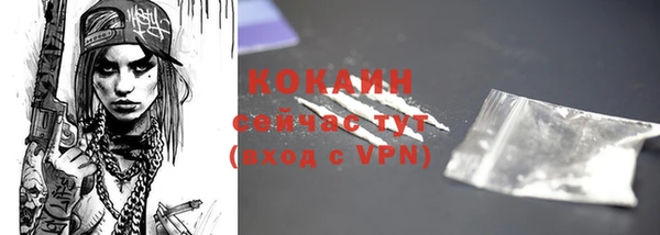 дмт Пестово