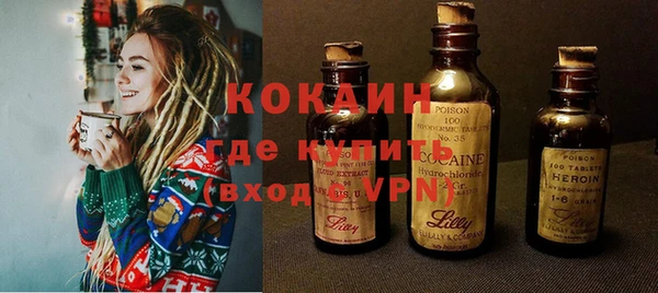 дмт Пестово