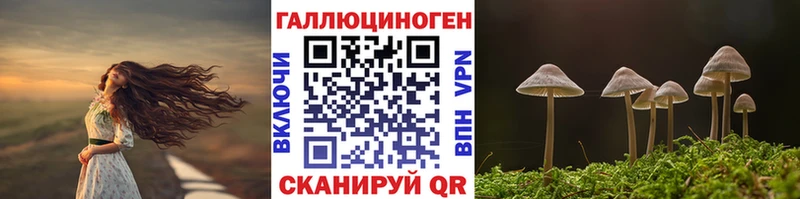 Галлюциногенные грибы Cubensis наркошоп Камбарка