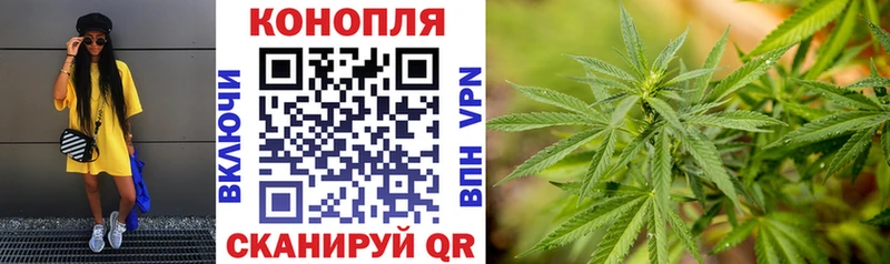 Бошки Шишки THC 21% Камбарка