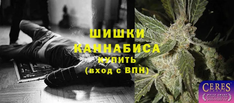 Канабис White Widow  блэк спрут как зайти  Камбарка 